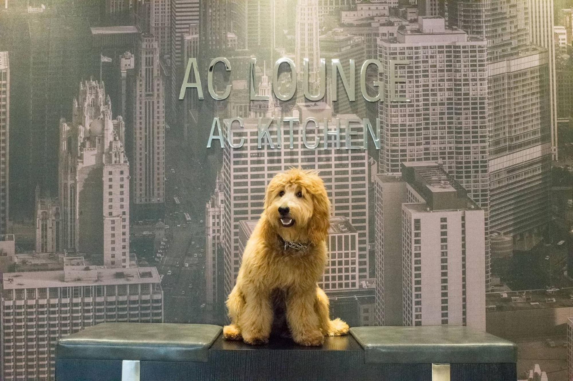 Ac Hotel Chicago Downtown Luaran gambar